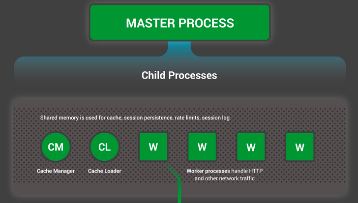Nginx Master and Worker Processes