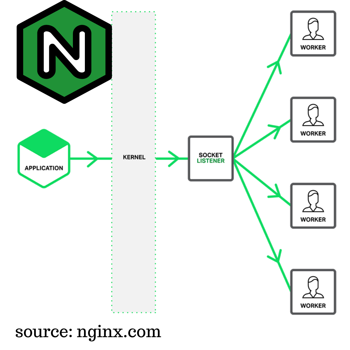 Nginx Multiple Thread Single Acceptor